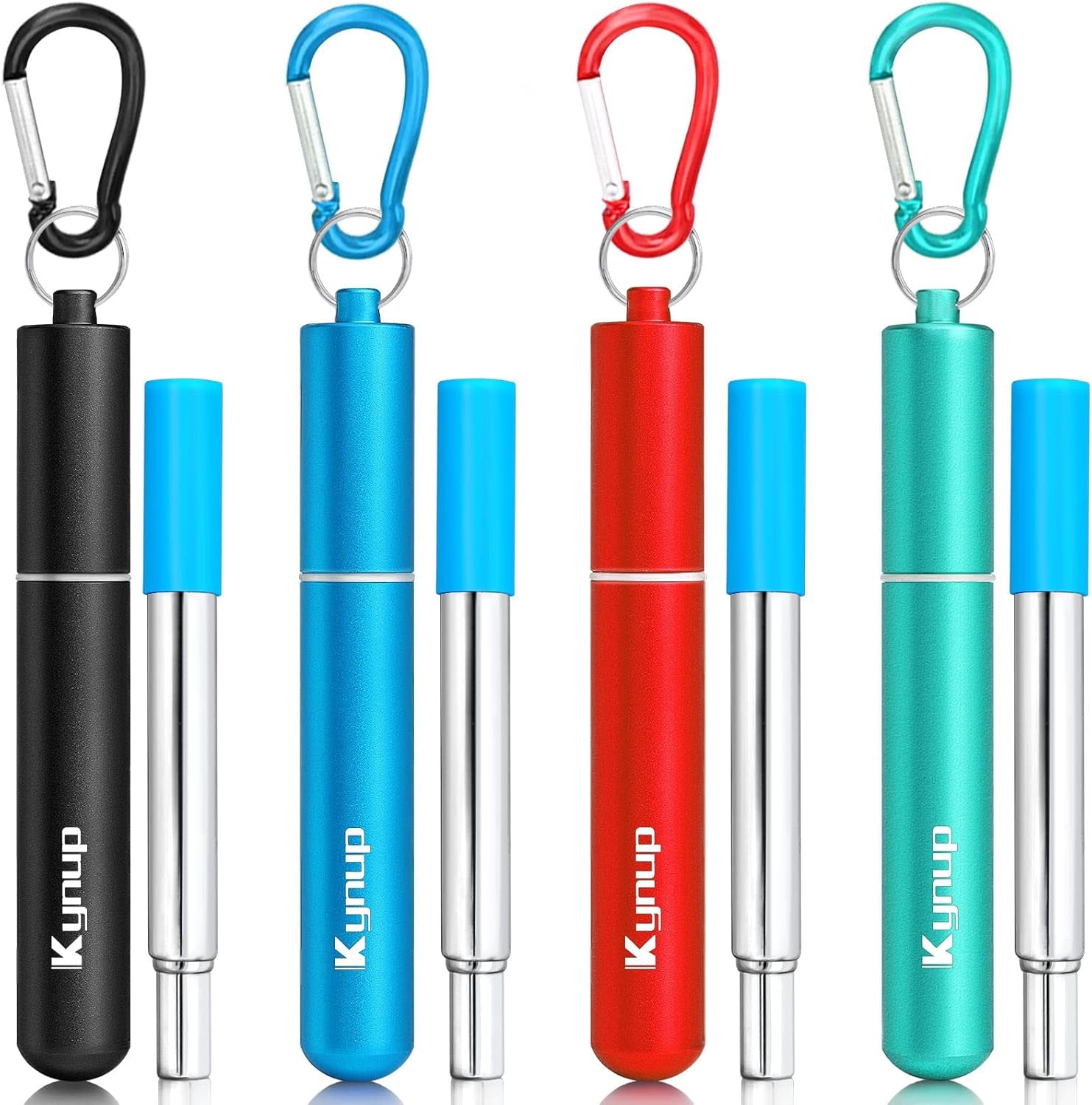 Portable Collapsible Travel Straw with Keychain Case