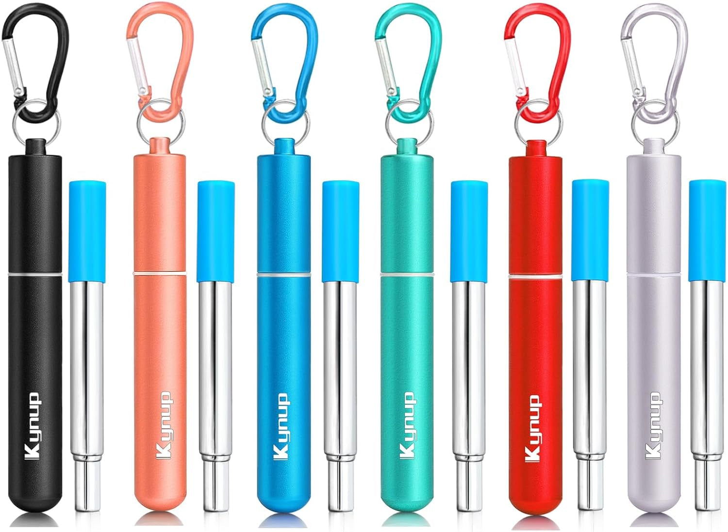 Portable Collapsible Travel Straw with Keychain Case