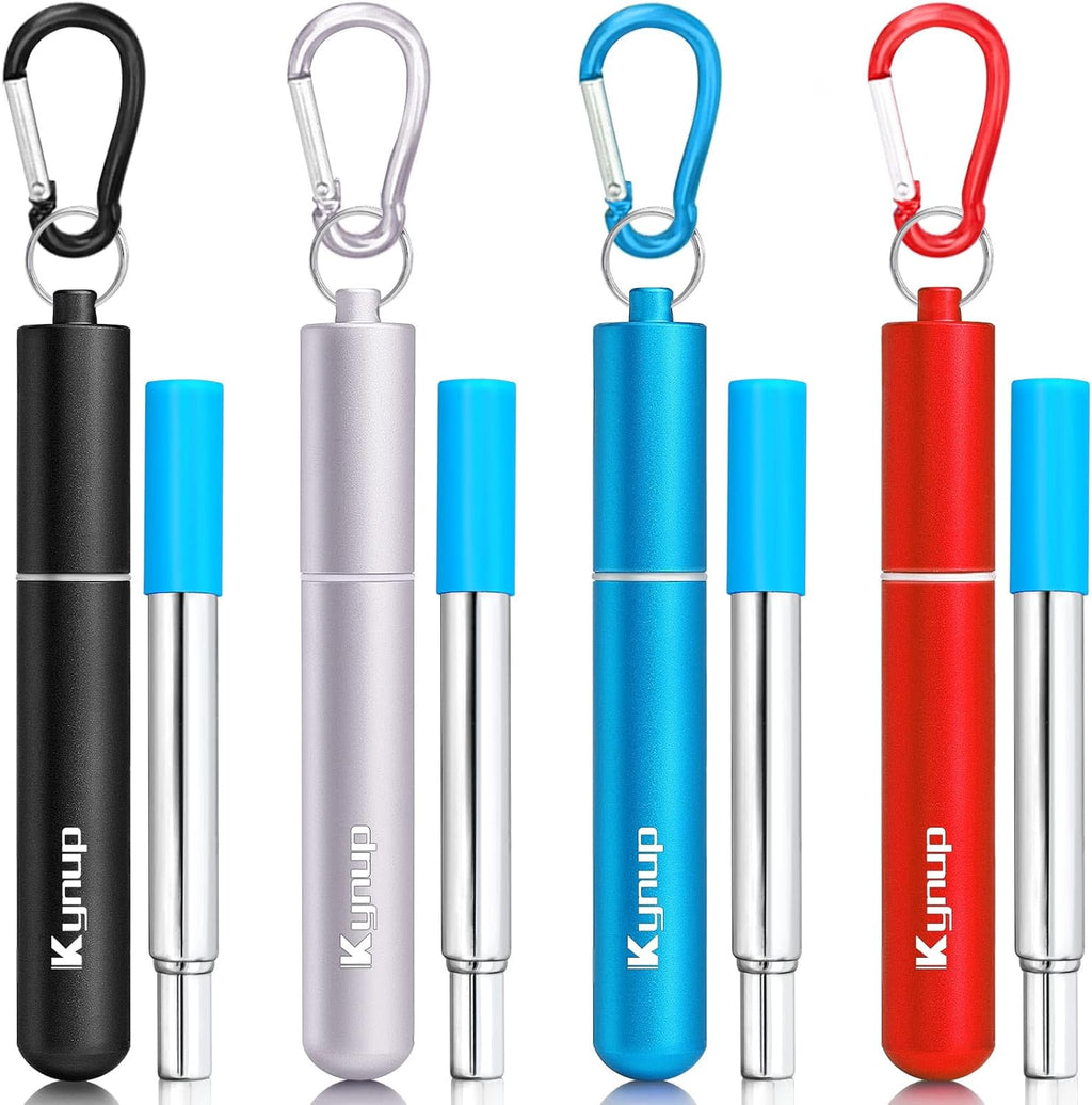 Portable Collapsible Travel Straw with Keychain Case