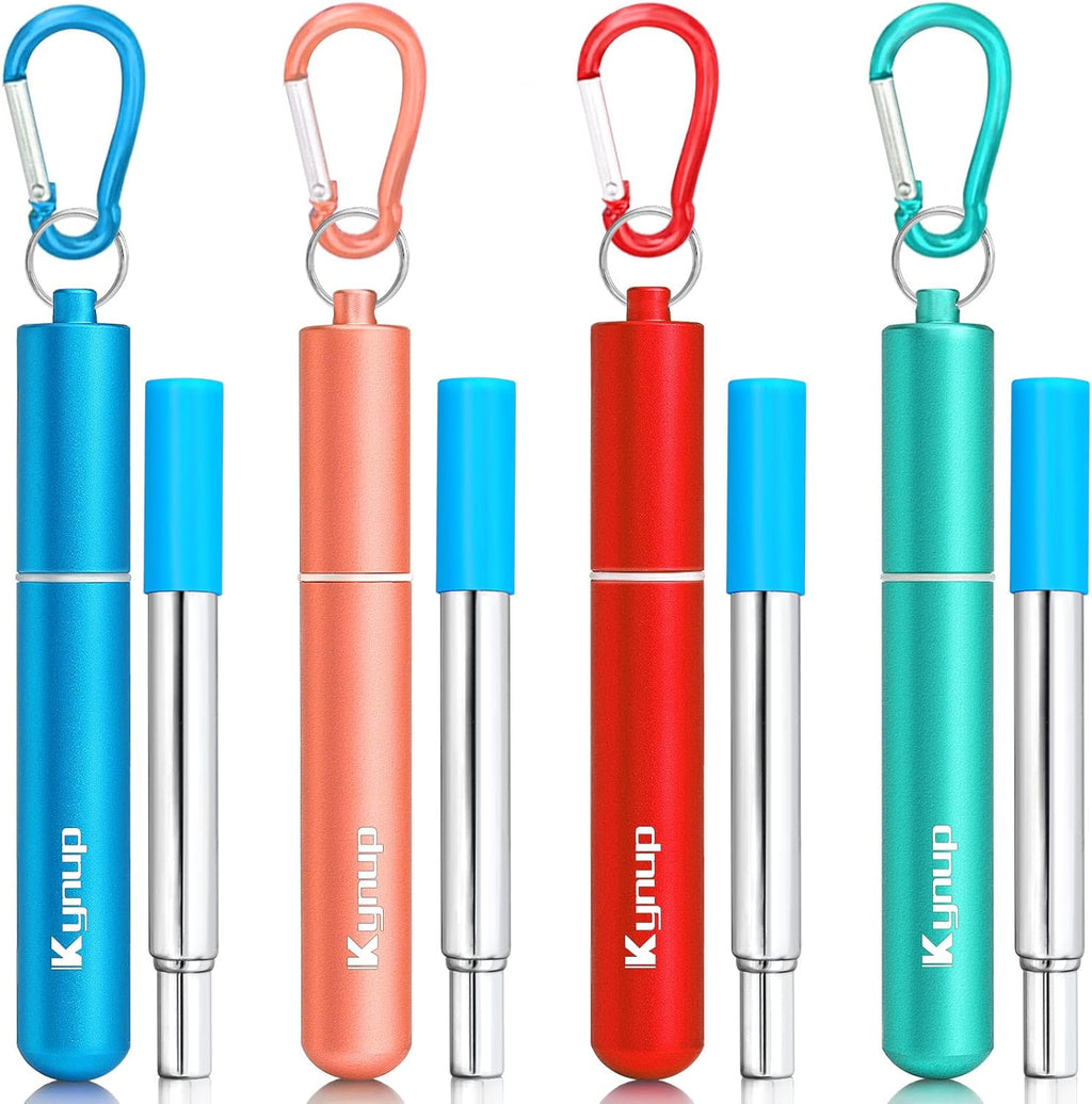 Portable Collapsible Travel Straw with Keychain Case
