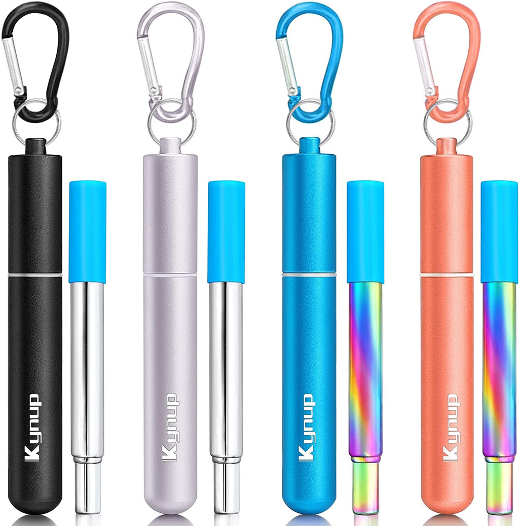 Portable Collapsible Travel Straw with Keychain Case