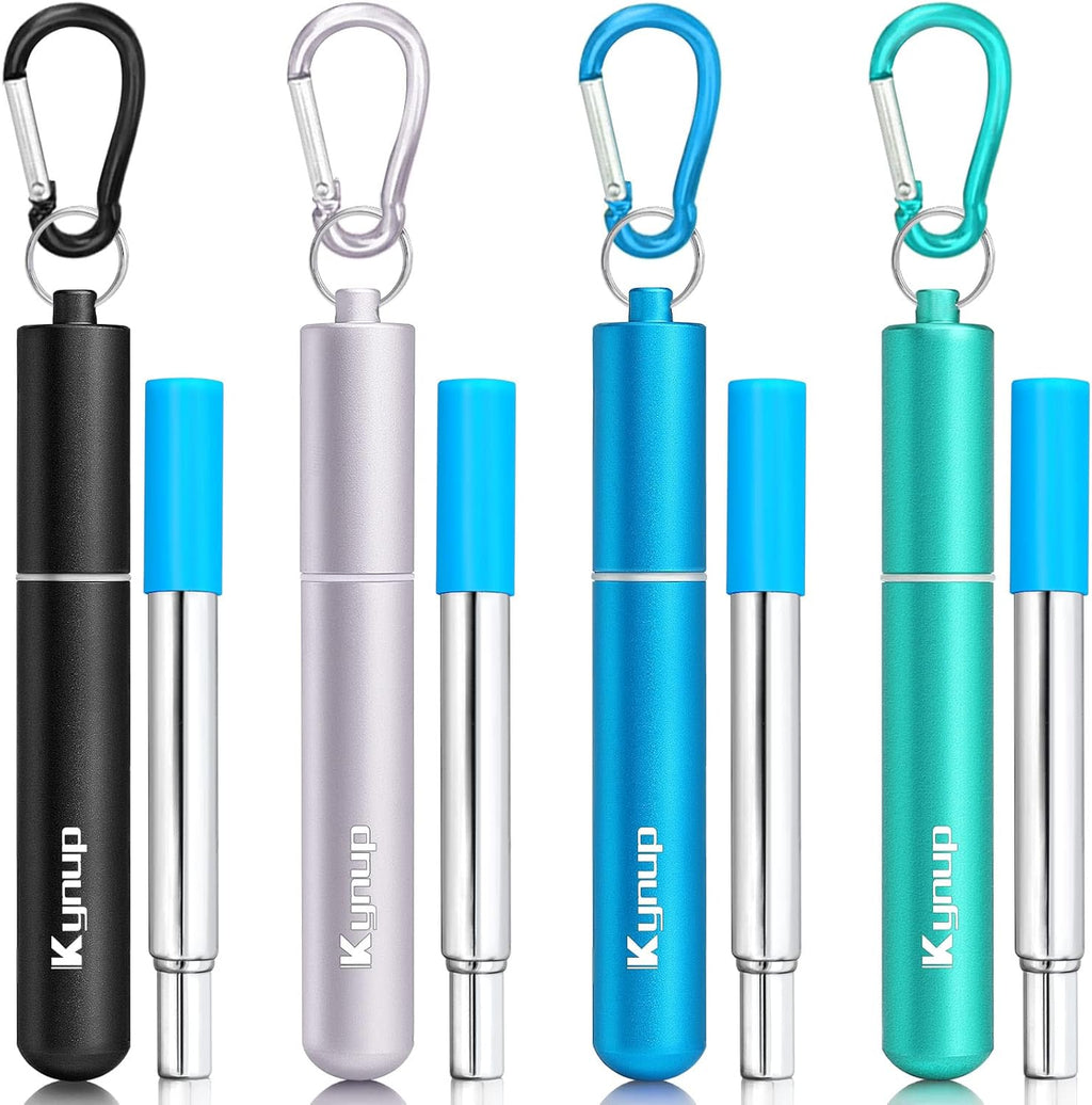 Portable Collapsible Travel Straw with Keychain Case