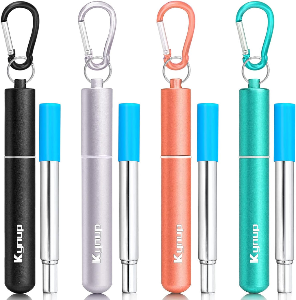 Portable Collapsible Travel Straw with Keychain Case