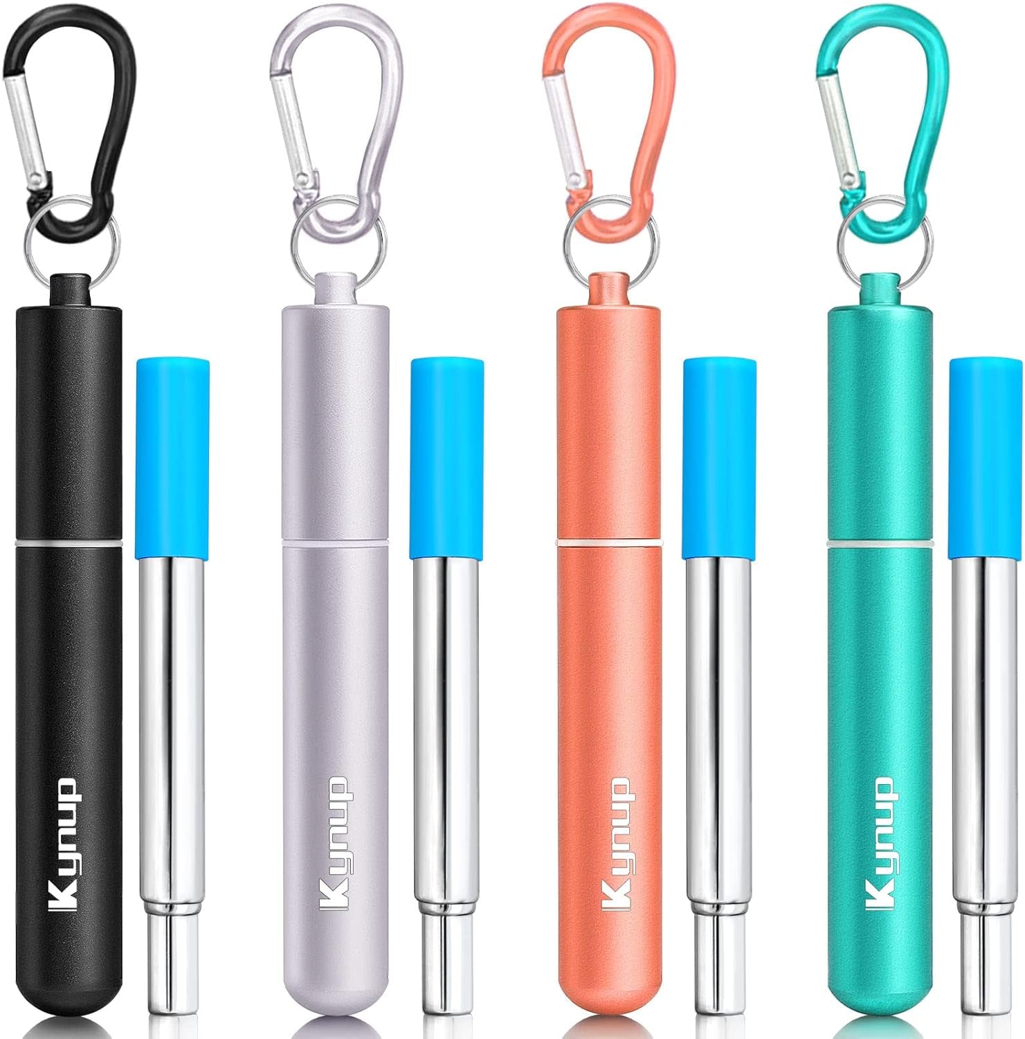 Portable Collapsible Travel Straw with Keychain Case