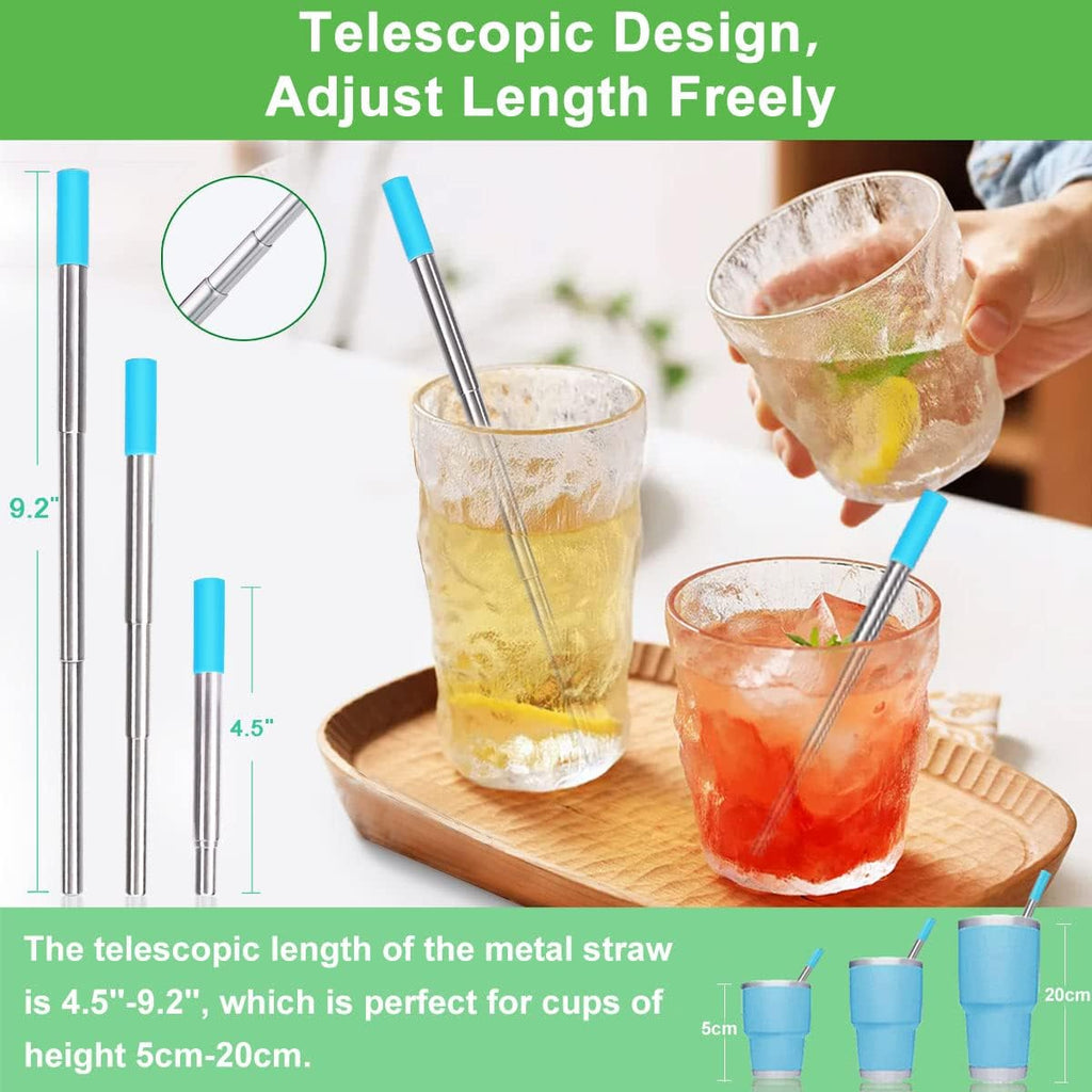 Portable Collapsible Travel Straw with Keychain Case