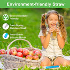 Portable Collapsible Travel Straw with Keychain Case