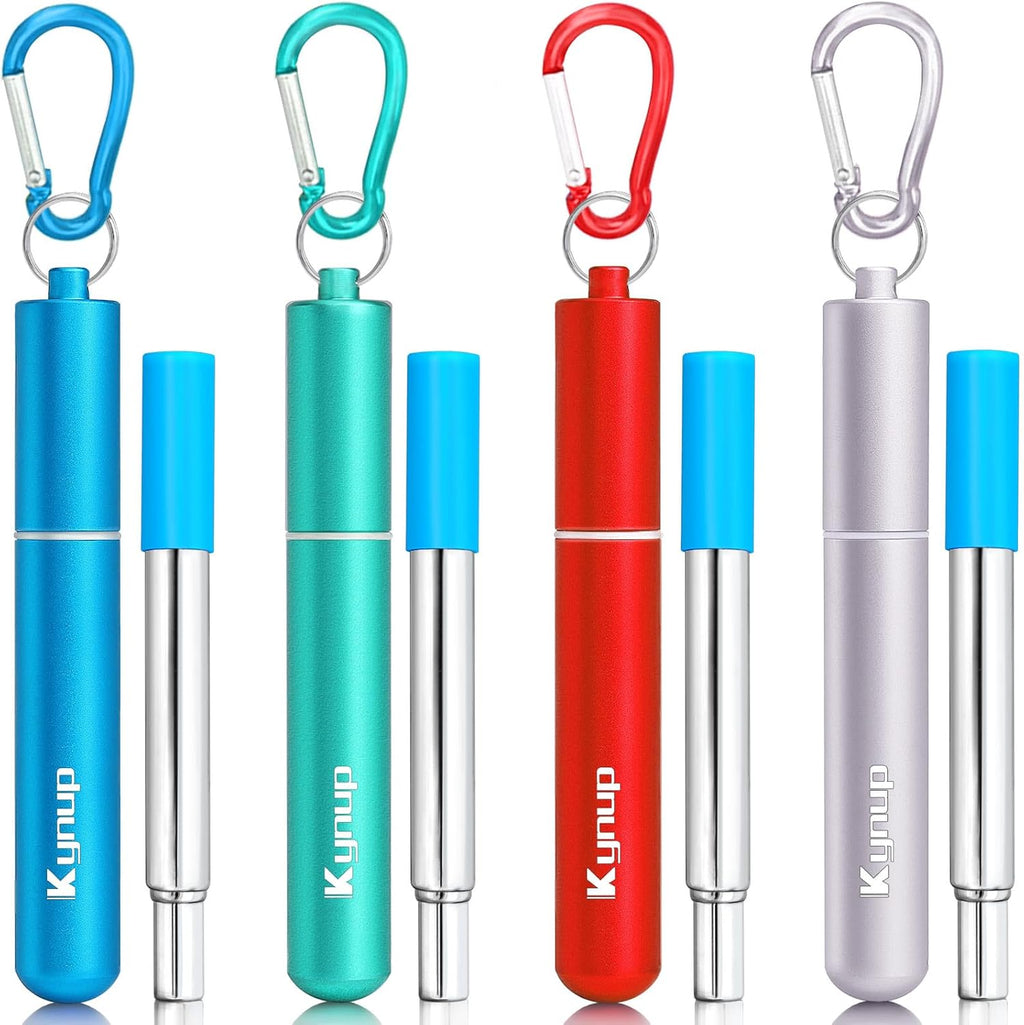 Portable Collapsible Travel Straw with Keychain Case